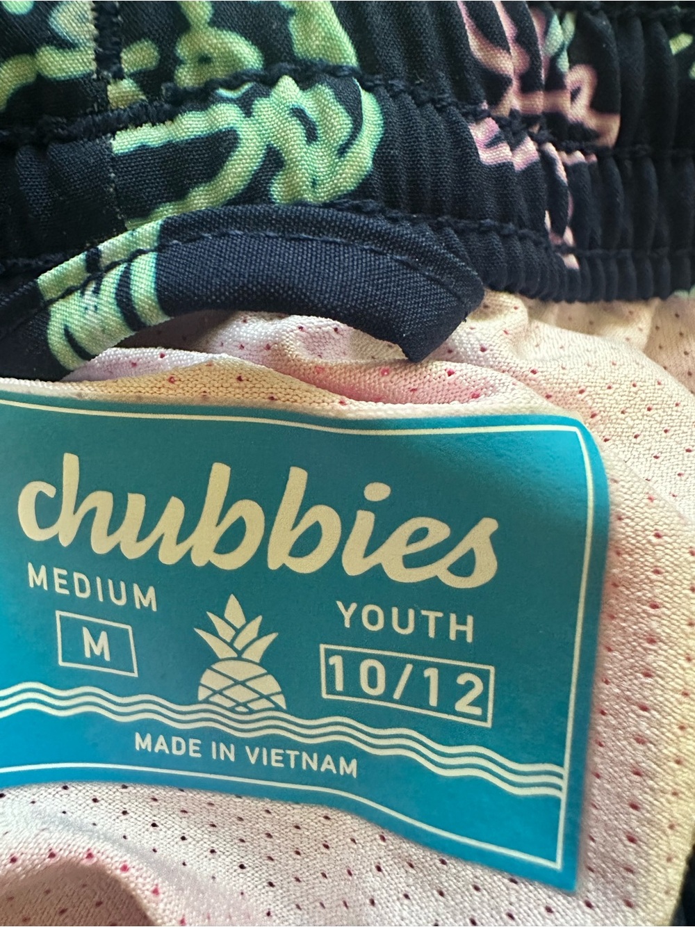Chubbies Boys Youth Medium 10/12 Swim Shorts SET OF 2 dinosaurs alligator